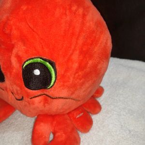 Orange Octopus