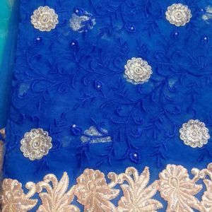 Beautiful Net Sari