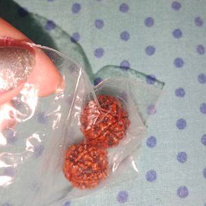 Two Original Rudraksha For Women And Men Both