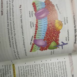 Biochemistry And Nutrition For Bsc Nursing