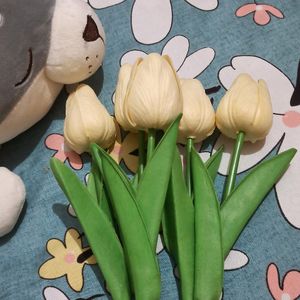 Tulip Flower Ivory Color