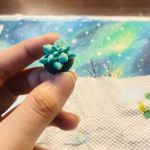 Mini Succulent  Plant   Made From Air Dry Clay