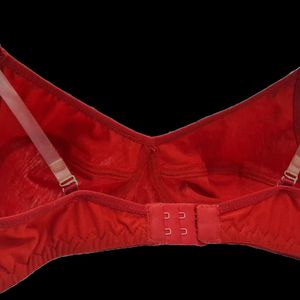 Red Bra Not Used Display Shop Piece