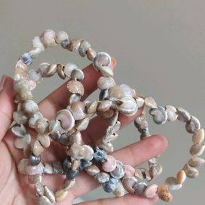 Seashell Neckpiece Unused