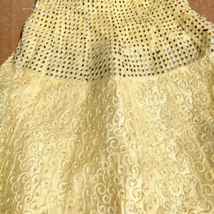 Embroidered Lehenga Choli