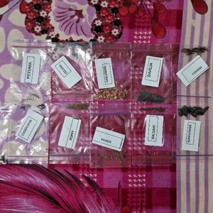 25 Types Of Flowers Seeds