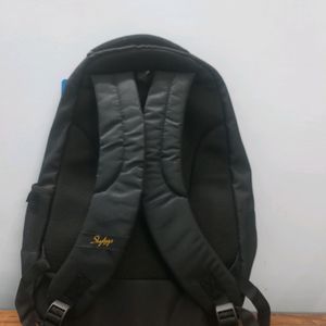 Skybags Backpack