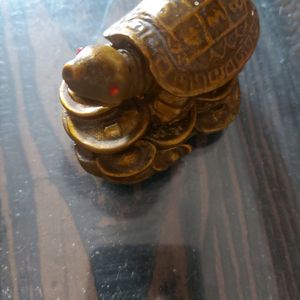 Turtle Decorative