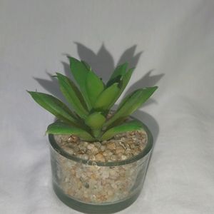 home decor artificial plant