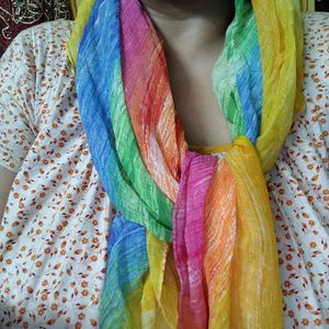 Multicolor Chiffon Scarf