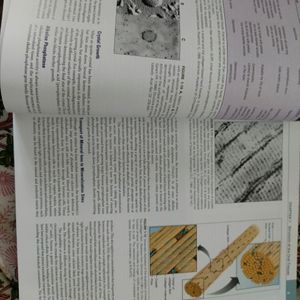 Bds- Dental Histology Books