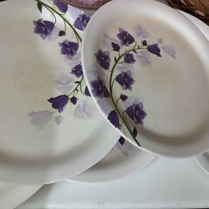 Plates Bowl Set