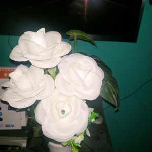 Bunch Of White Rose