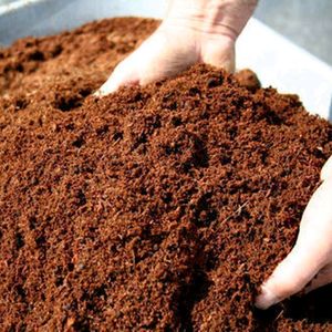 Vermicompost Cow Dung & Earthworms 10 Kg