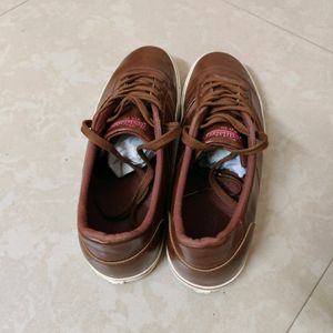 Roadster Sneakers For Men Solid Brown (New)