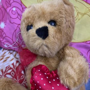 Imported Vintage Walmart Teddy