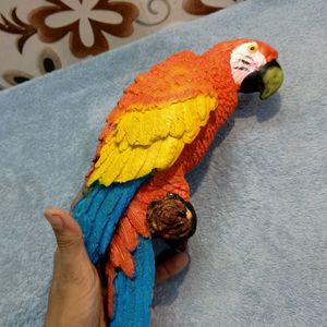 ❣️ Parrot