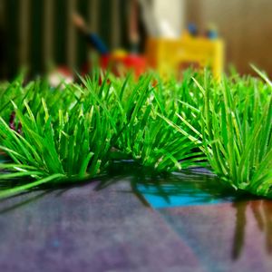 Artificial Grasses