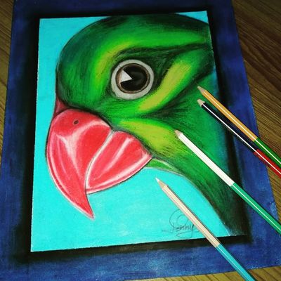 Oil Pastels 101: A Comprehensive Guide to Painting with Oil Pastels -  EmptyEasel.com