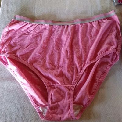 Preloved Pink Net Panty
