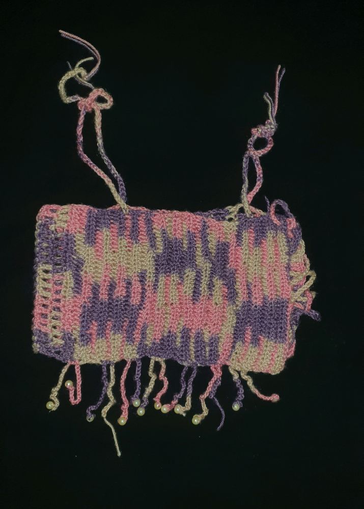 Crocheted Crop Top