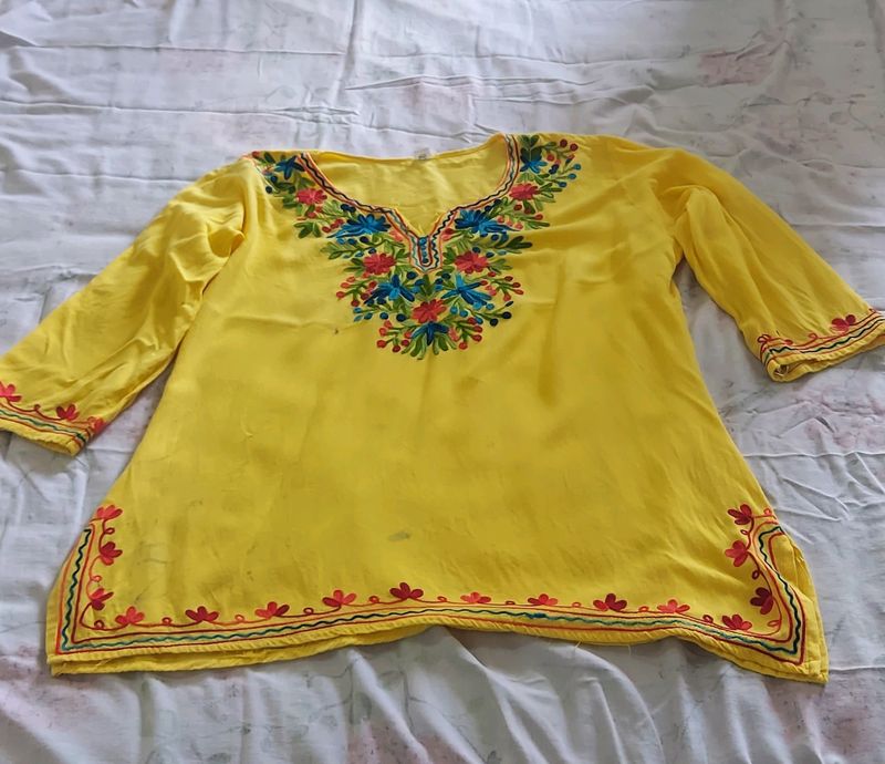 Pretty Kashmiri Embroidery Short Kurta