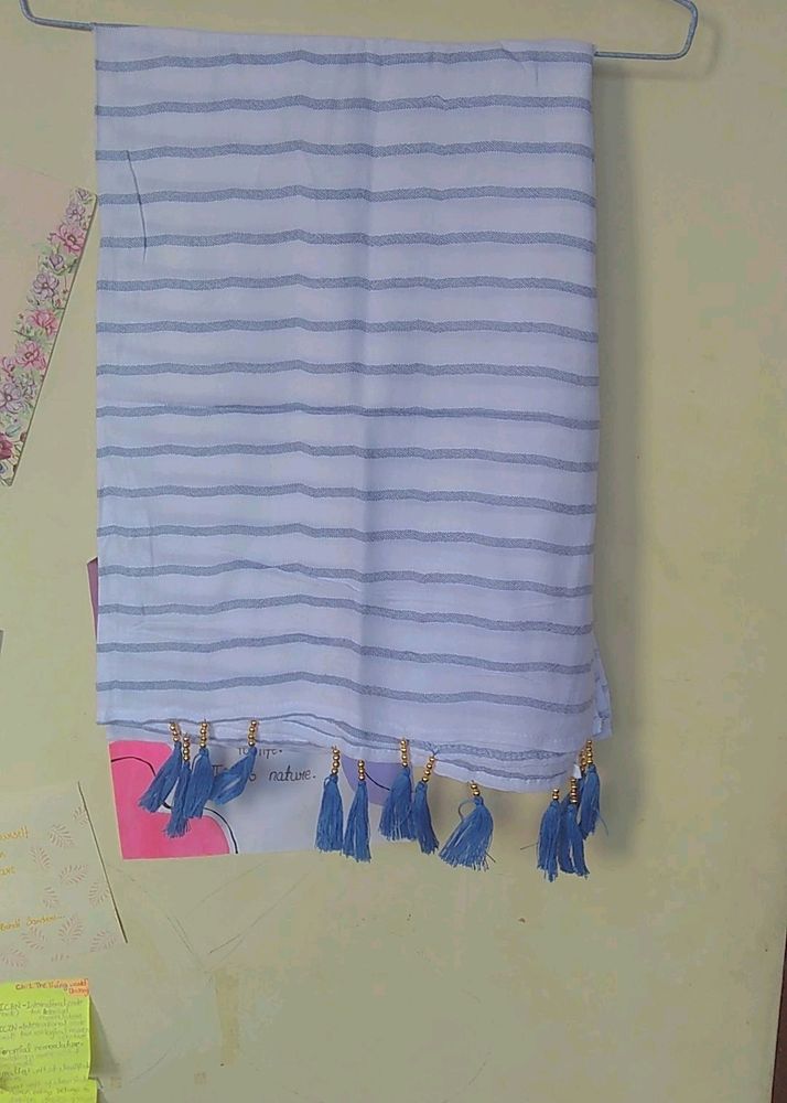 Navy Blue Stripe On White Background Dupatta