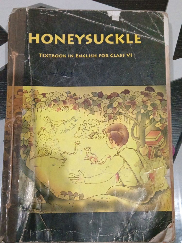 English HoneySuckle Textbook For Class VI