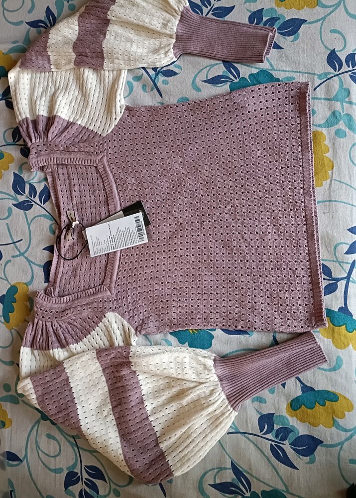 Roadster Mauve Colourblocked Crop Top