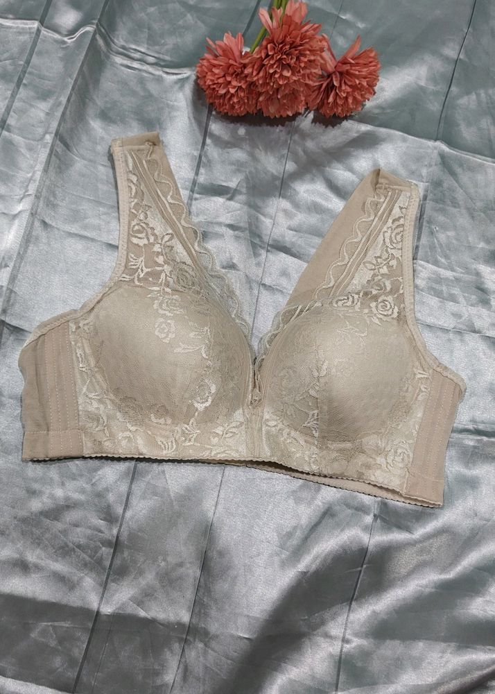 Imported Designer Corset Bra