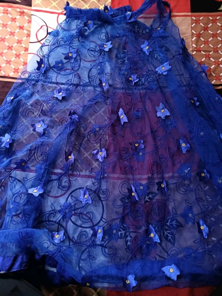 Butterfly over Net Fabric Lehenga