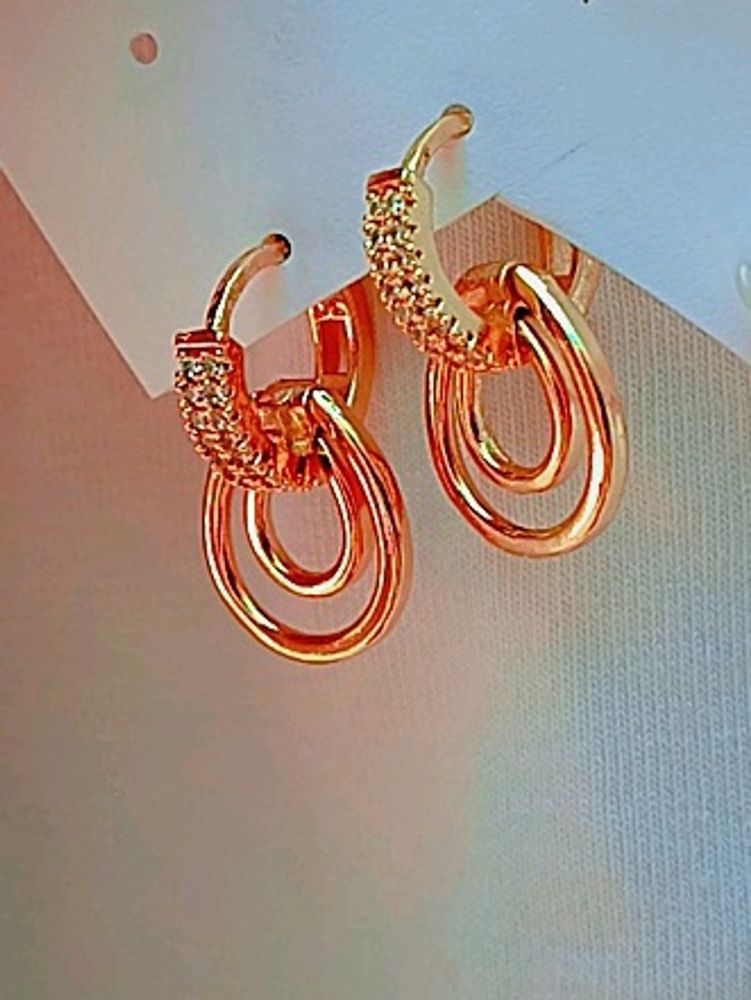 Ad Non Transite Earrings