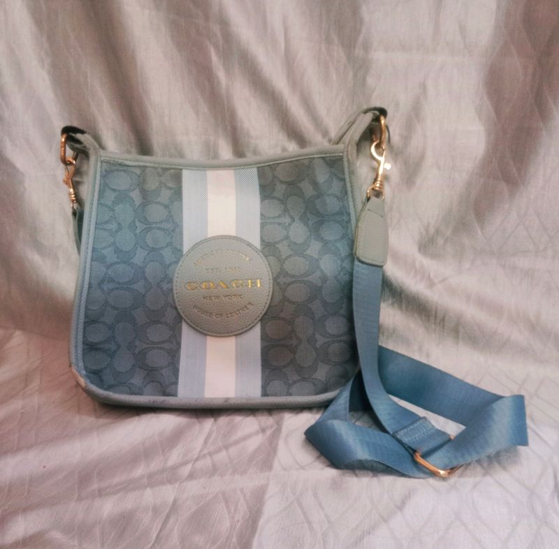 Aesthetic Coach Blue Leather Sling Bag