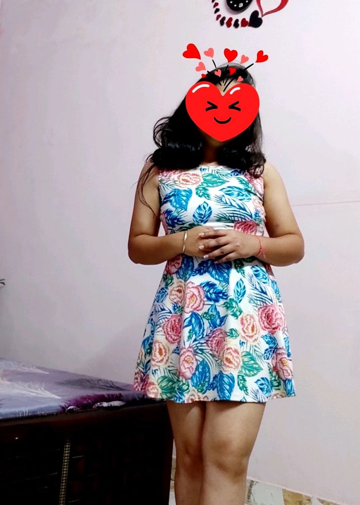 H&m Skater Dress