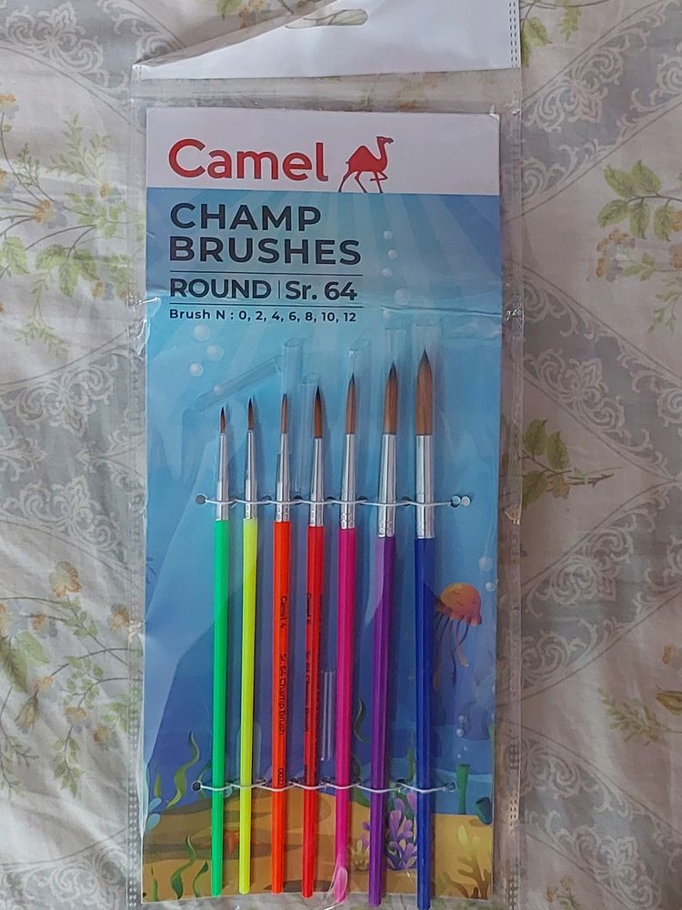 CAMEL ROUND BRUSHES - NEVER USED