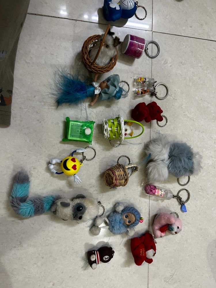 Key Chains Combo 15