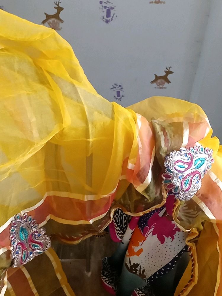 Beautiful Tesiu Saree