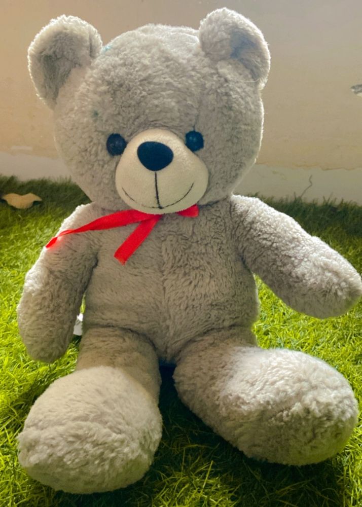 Taddy Bear Soft Toy