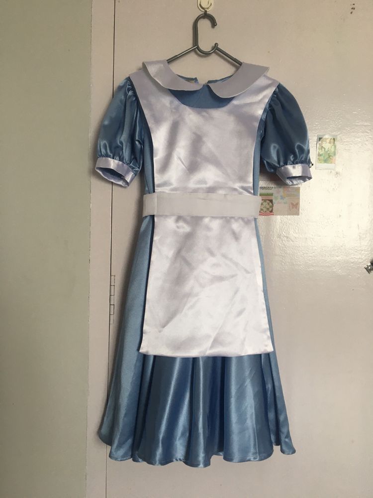 Alice In Wonderland Costume