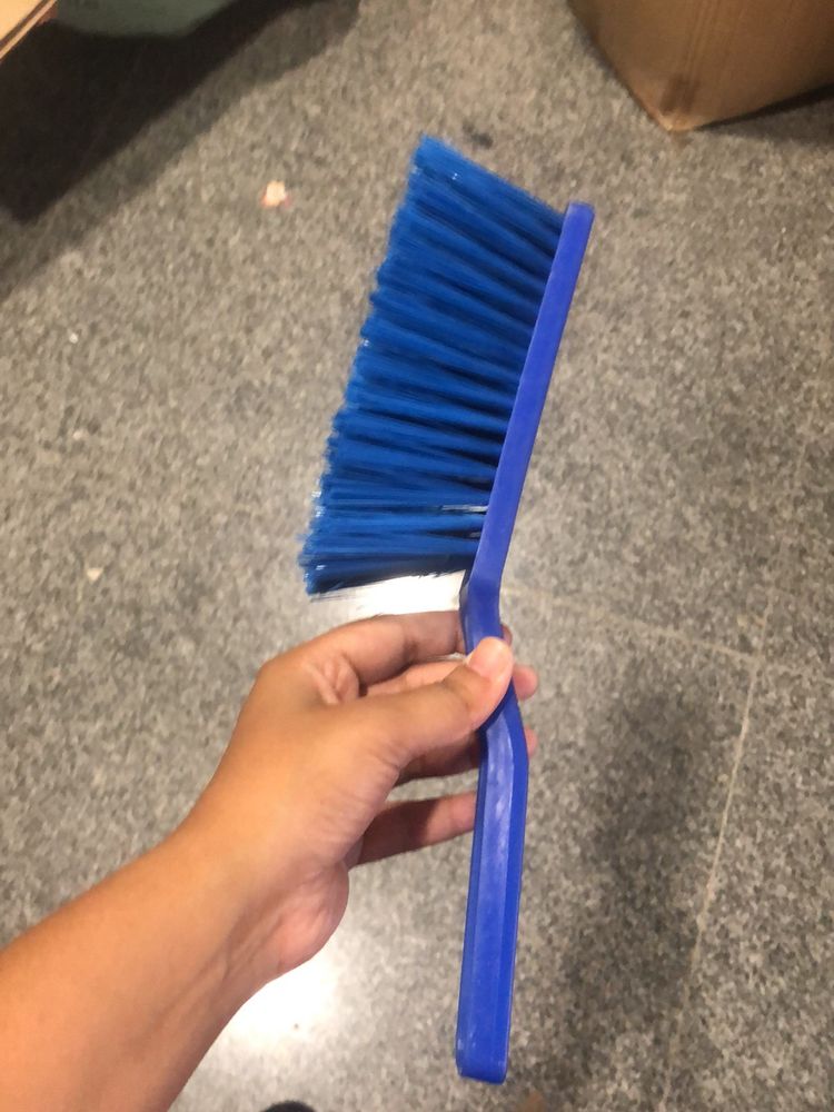 Carpet Brush