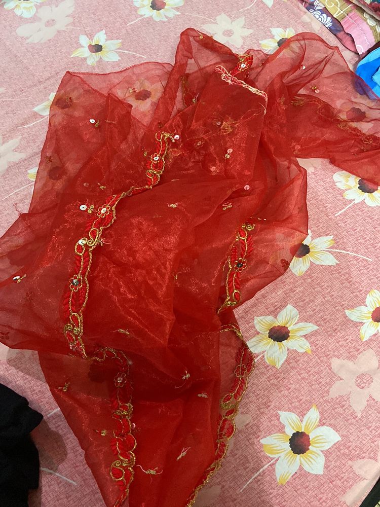 Beautiful Red Net Dupatta