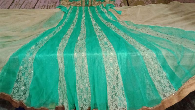 Ethnic Gowns Dupatta Set