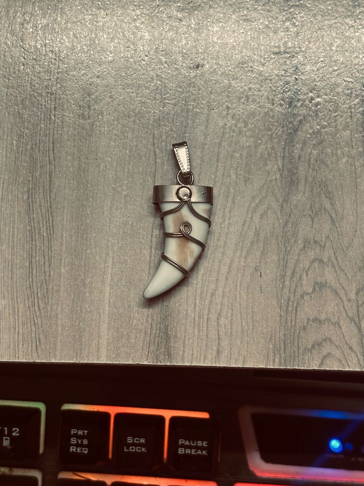 Tiger Nail Pendant