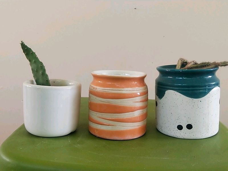 Cute Sculent Pot Combo