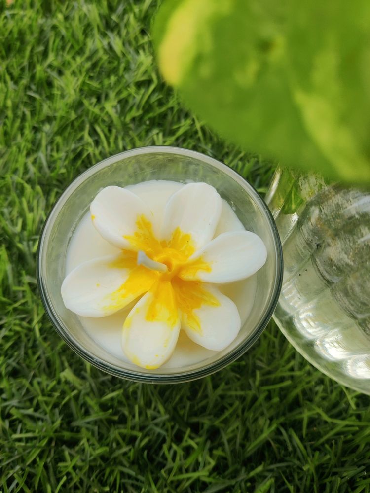 Plumeria Scented Shot Glass Candle(Set Of 2)