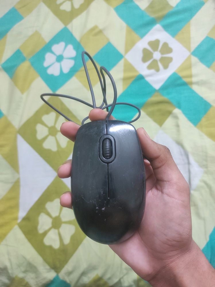 mouse