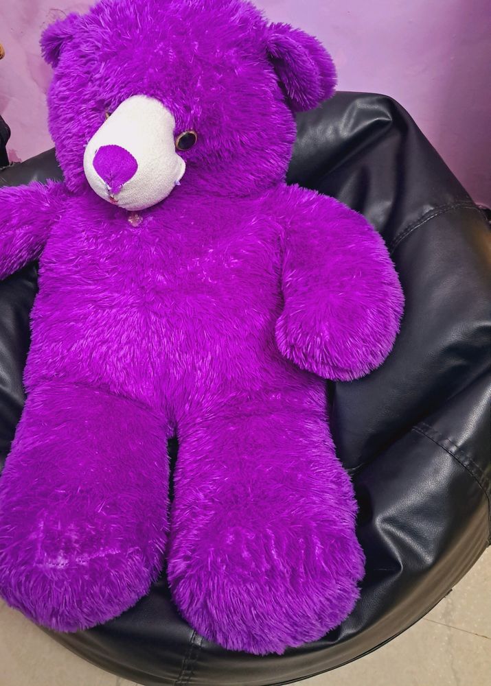 Purple Teddy Bear