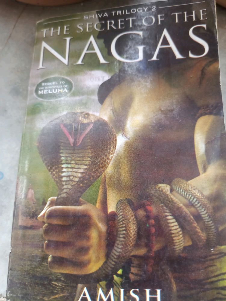 The Secret OfThe Nagas