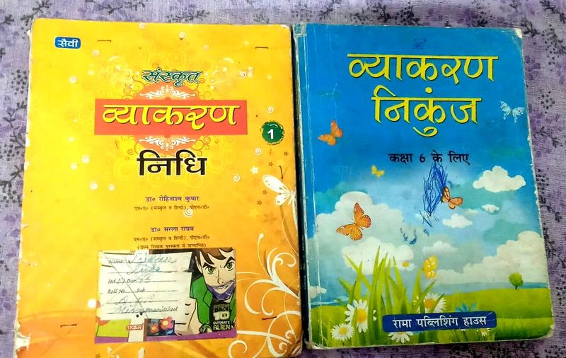 APS 6th Hindi And Sanskrit Grammar Or Vyakaran