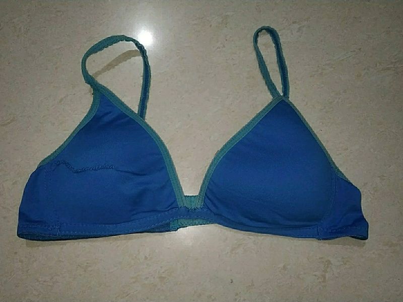 Blue Bra